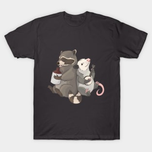 Opossum and a Racoon playing instruments T-Shirt